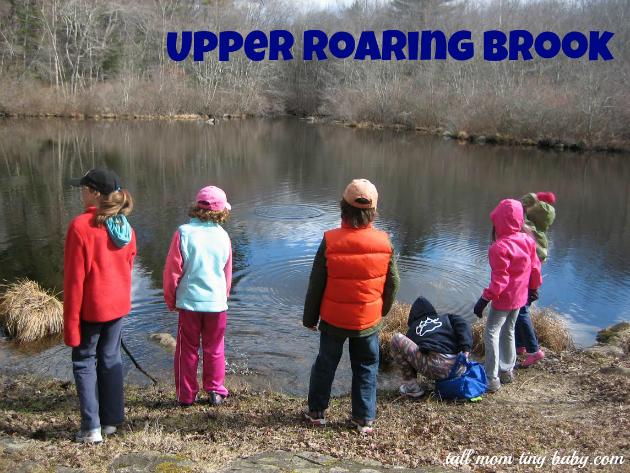 Upper_Roaring_Brook