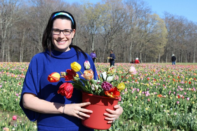 wicked_tulips_farm_pick_your_own_review_rhode_island_johnston_mary_larsen