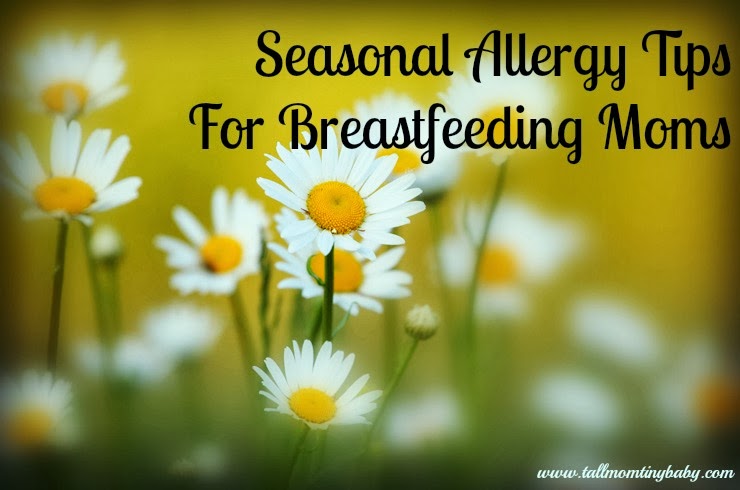 well at walgreens, walgreens, allergy season breastfeeding medicine