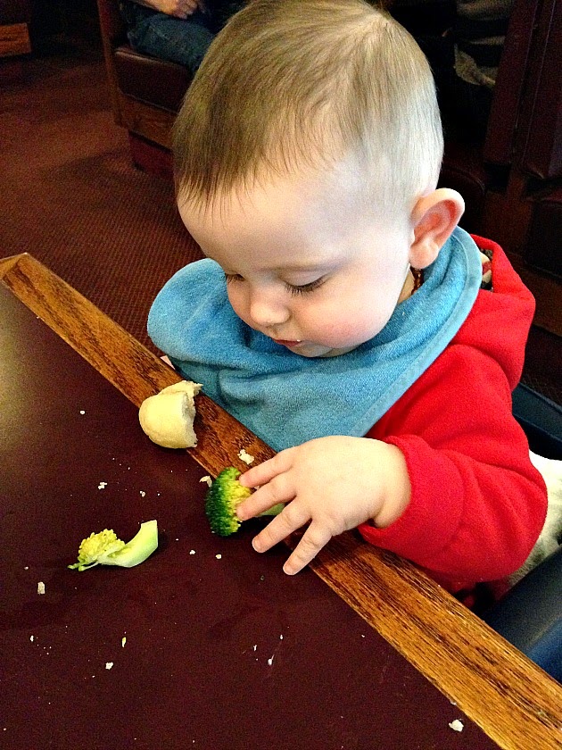 baby-led-weaning-broccoli
