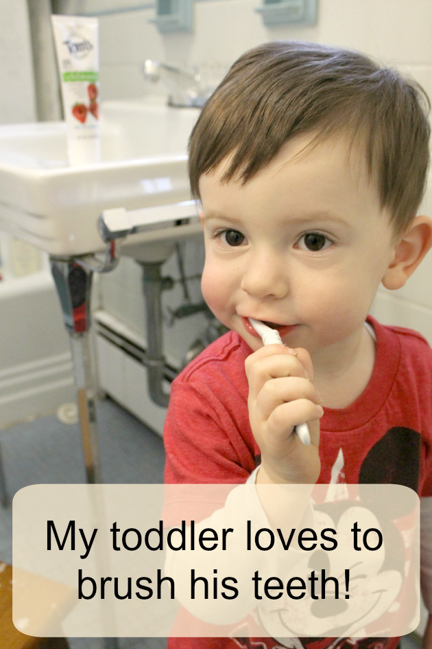 naturalgoodness_collectivebias_toms_of_maine_toddler_kids_toothpaste