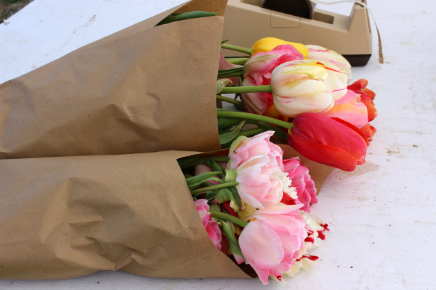 bag_tulips